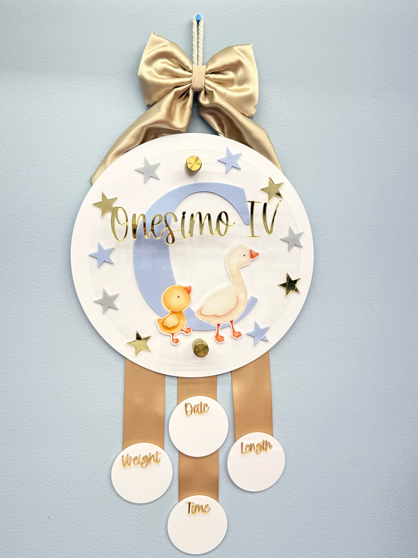 Little Goose & Chicks Birth Stats Hanging Door Sign