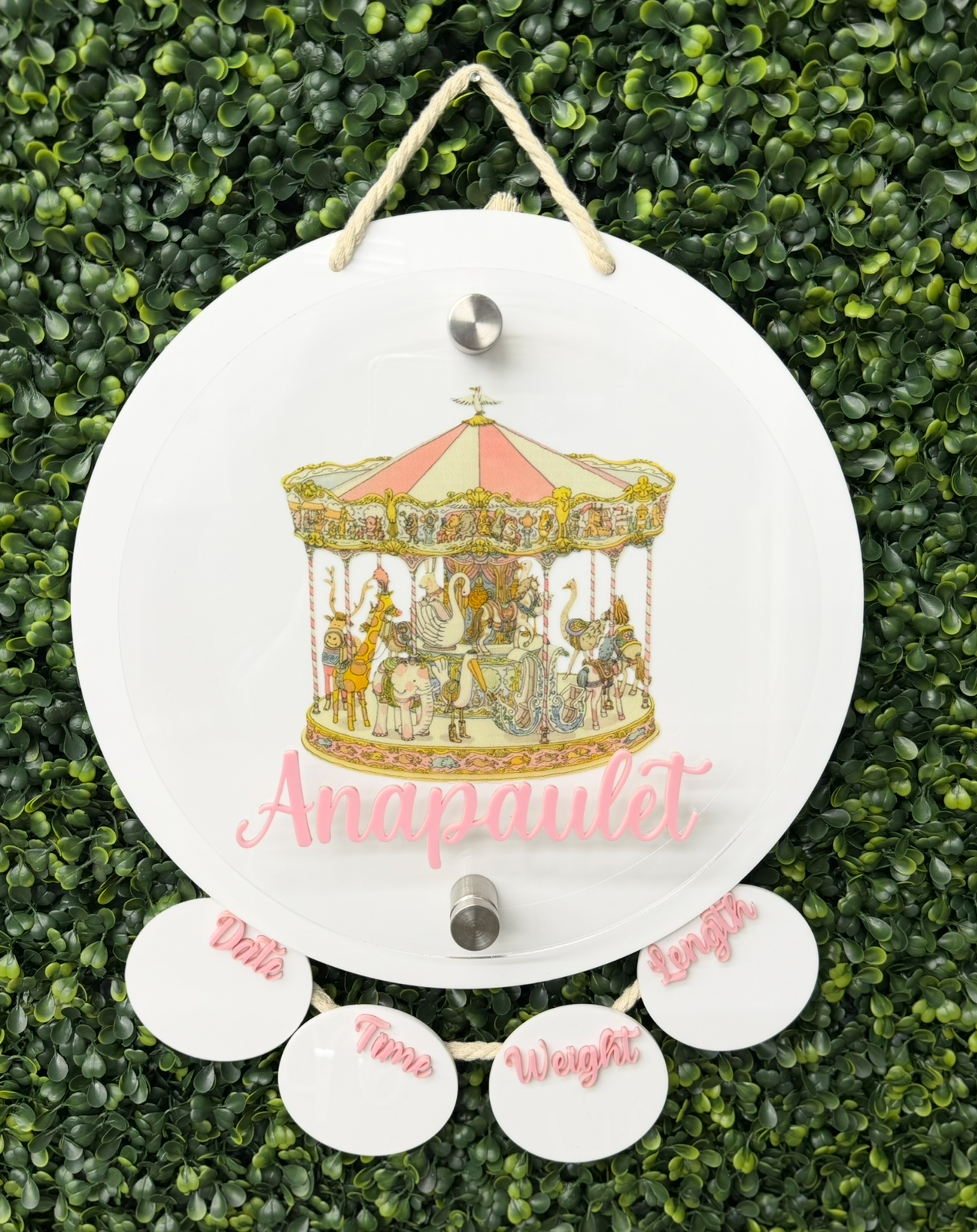 Carousel Birth Stats Hanging Door Sign