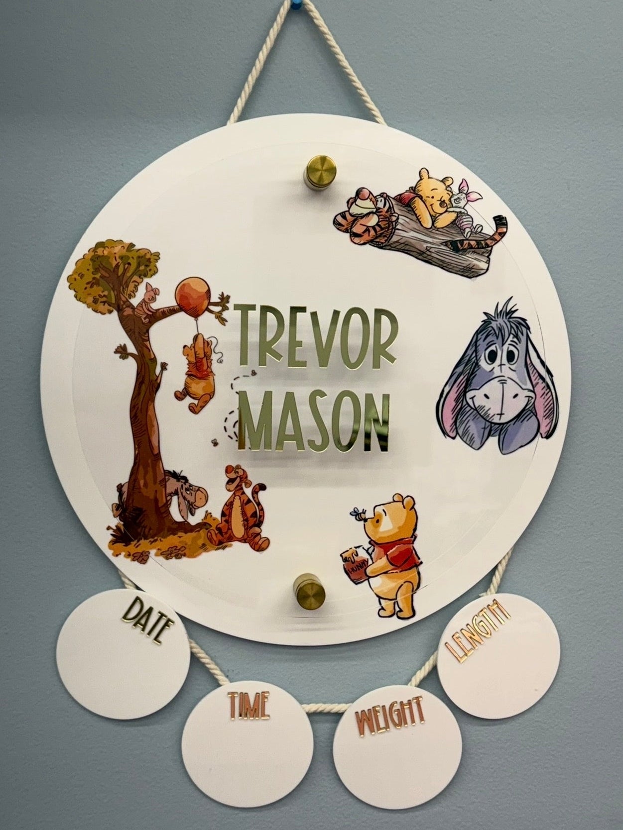 Winnie the Pooh Inspired Birth Stats Hanging Door Sign