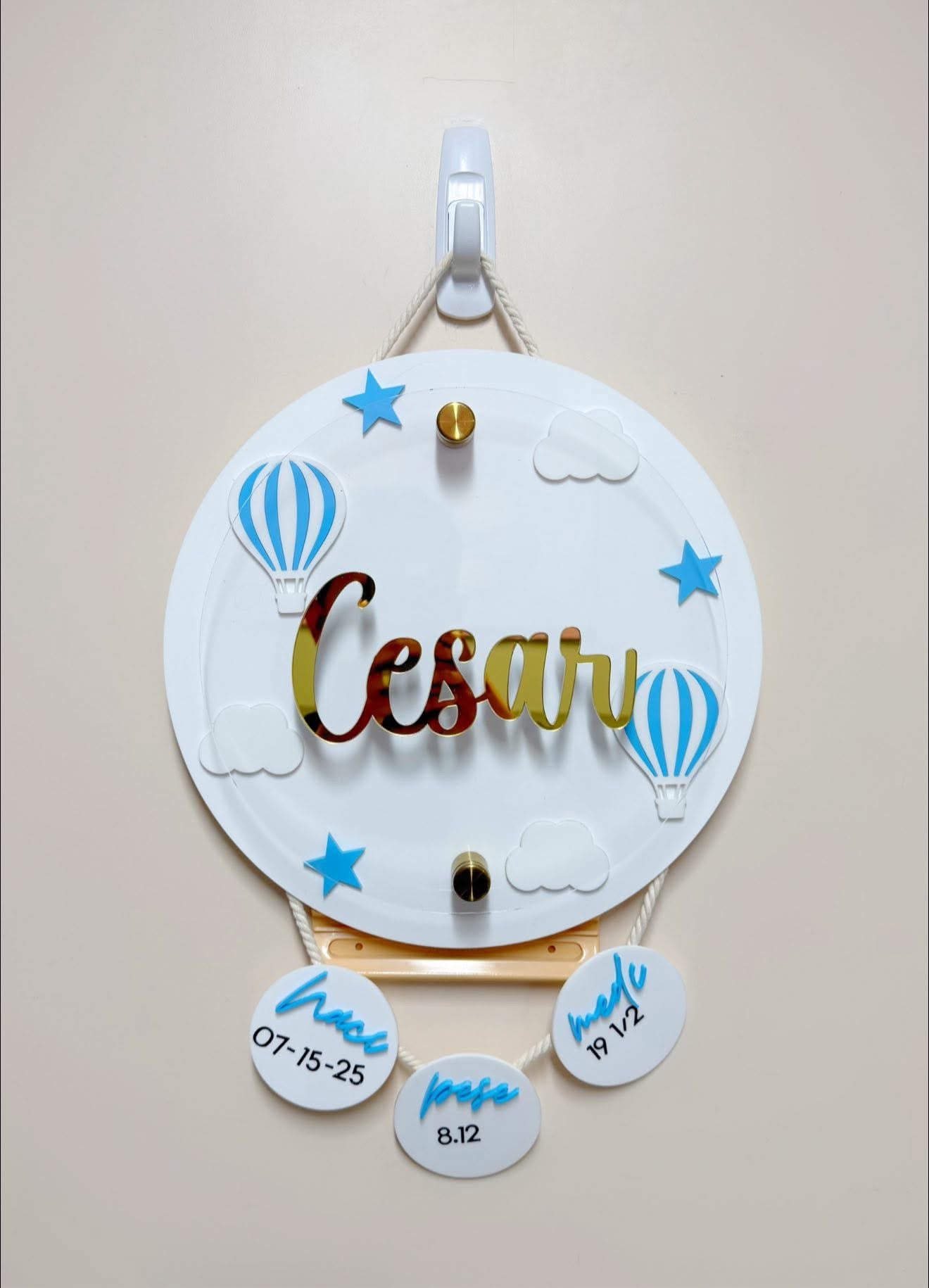 Hot Air Balloon Birth Stats Hanging Door Sign